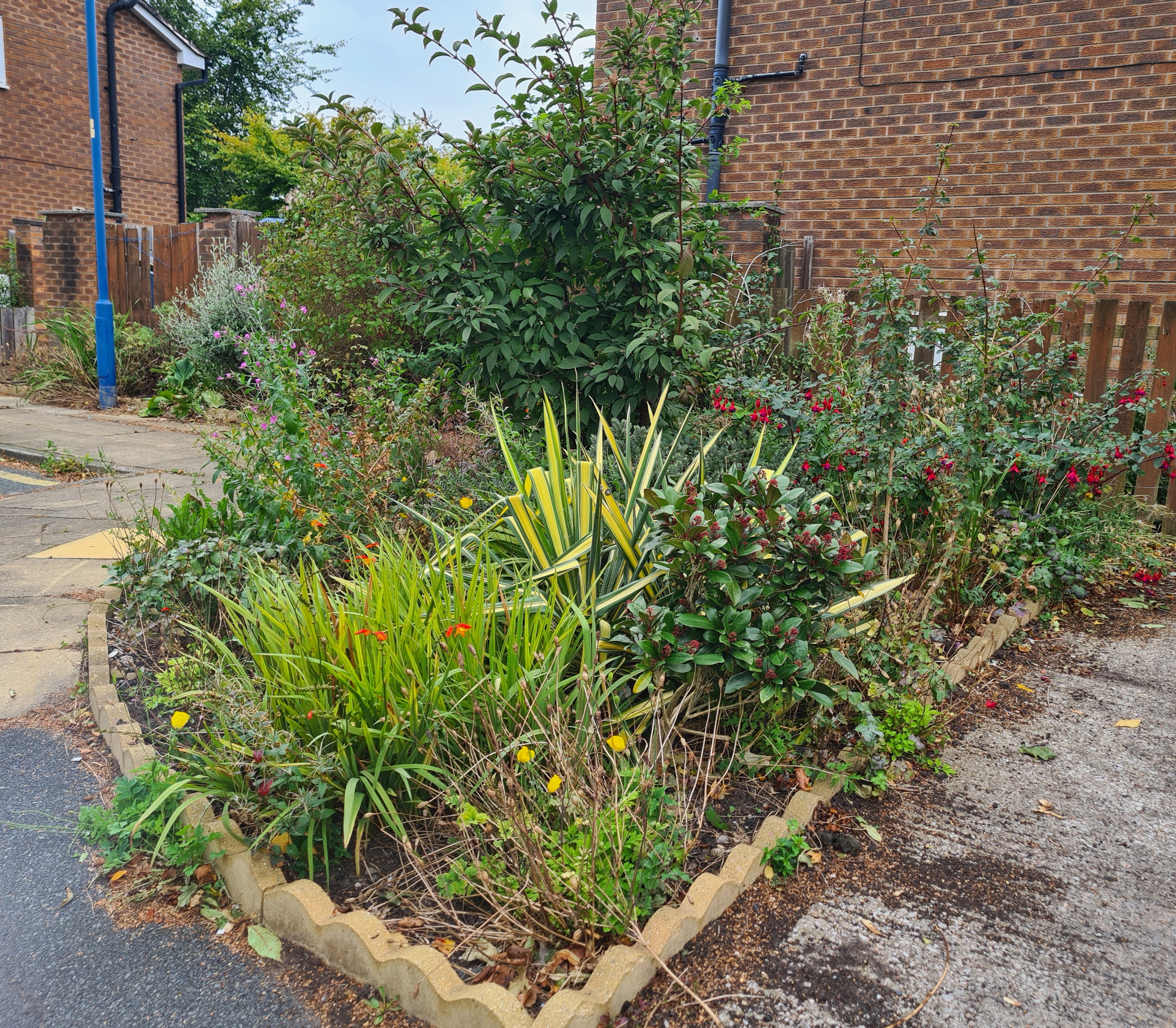 a collective flower bed